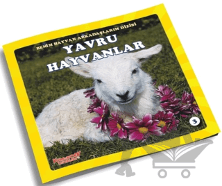 Yavru Hayvanlar - Benim Hayvan Arkadaşlarım Dizisi 3