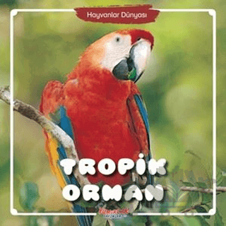 Tropik Orman - Hayvanlar Dünyası