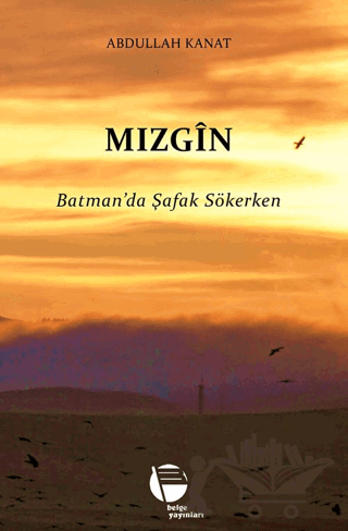 Mızgin