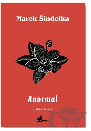 Anormal
