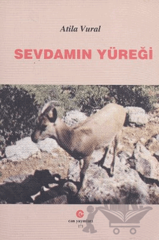 Sevdamın Yüreği