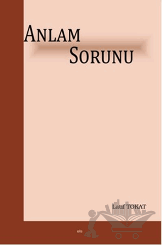 Anlam Sorunu