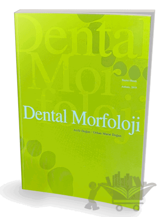 Dental Morfoloji