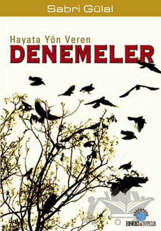 Hayata Yön Veren Denemeler