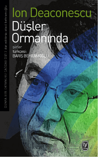 Düşler Ormanında