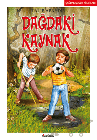 Dağdaki Kaynak