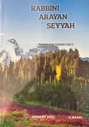 RABBİNİ ARAYAN SEYYAH